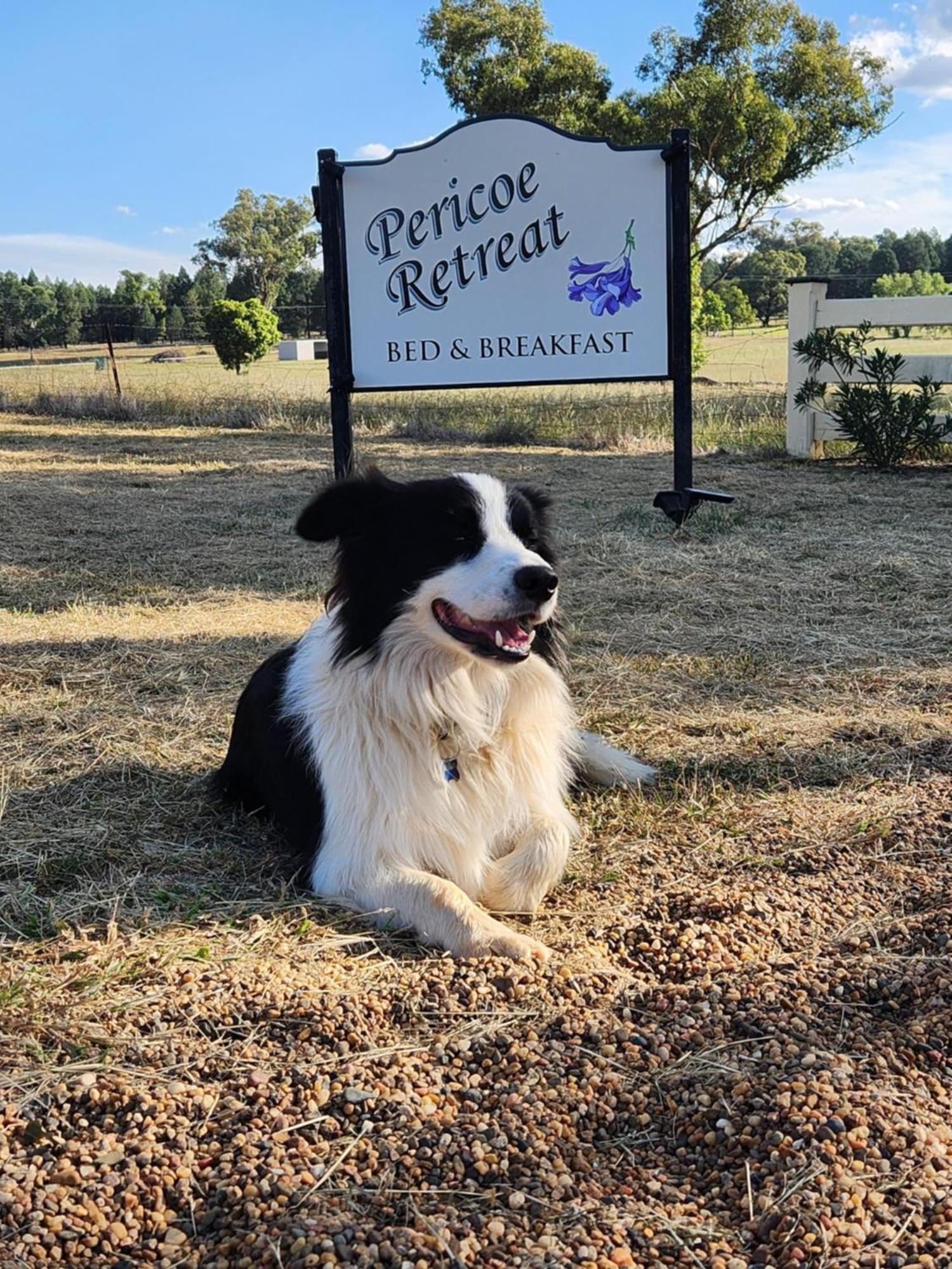 Pericoe Retreat Bed & Breakfast Dubbo Eksteriør bilde